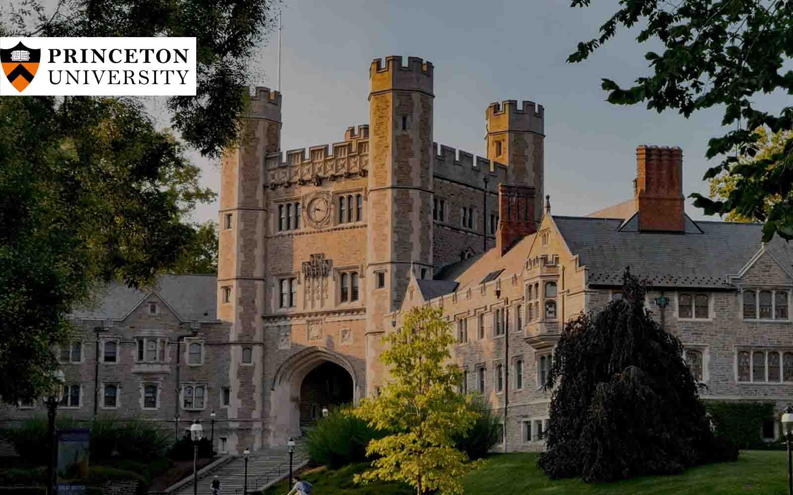 Princeton University Grad Writes Thesis About Pear Analytics