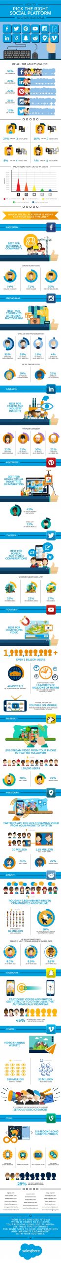 160607 the perfect social platform for your business infographic preview 1 scaled